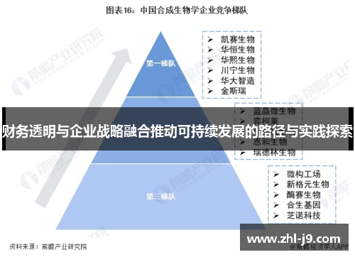 财务透明与企业战略融合推动可持续发展的路径与实践探索