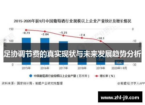 足协调节费的真实现状与未来发展趋势分析 足协调节费的真实现状与未来发展趋势分析
