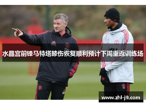 水晶宫前锋马特塔膝伤恢复顺利预计下周重返训练场 水晶宫前锋马特塔膝伤恢复顺利预计下周重返训练场