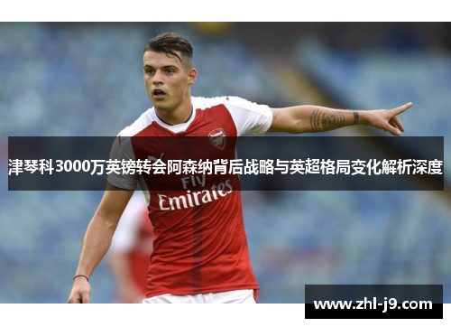 津琴科3000万英镑转会阿森纳背后战略与英超格局变化解析深度 津琴科3000万英镑转会阿森纳背后战略与英超格局变化解析深度